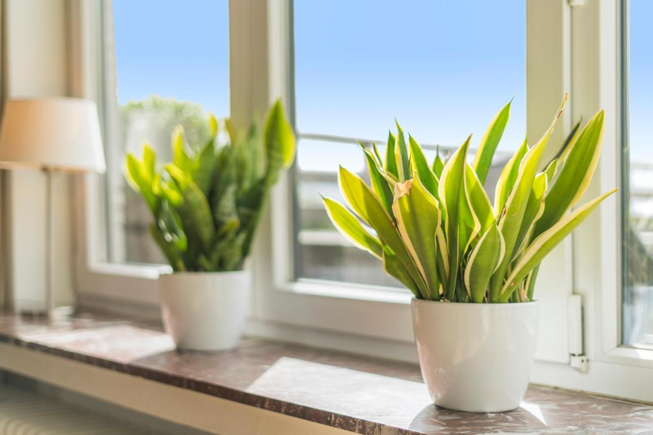 Appartamento Fuths Penthouse 55 Anversa Esterno foto